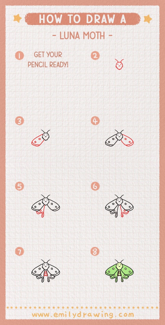 how to draw a luna moth pinterest pin